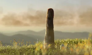 PLANTA IFLSCIENCE jpg