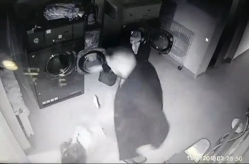 O femeie a fost bătută cu brutalitate într-o spălătorieFoto: Captură Video Facebook