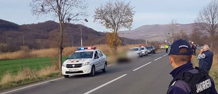 
    Ursul rănit este păzit de un dispozitiv de jandarmifoto: captură video   