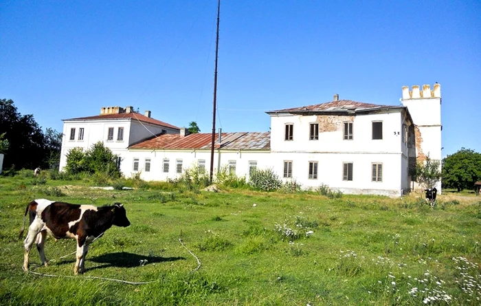 Palatul conţilor de Roma din Viziru Brăila FOTO Costel Crângan