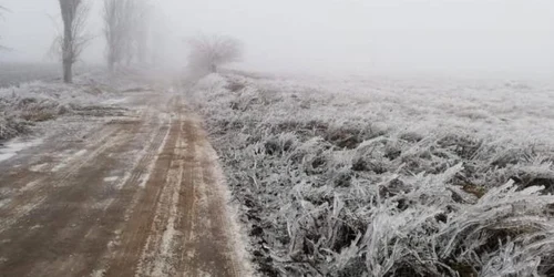 slobozia polei