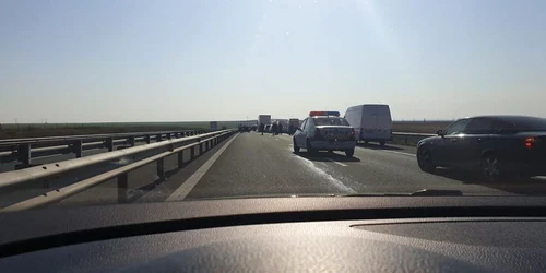 FOTO Info Trafic Timiş