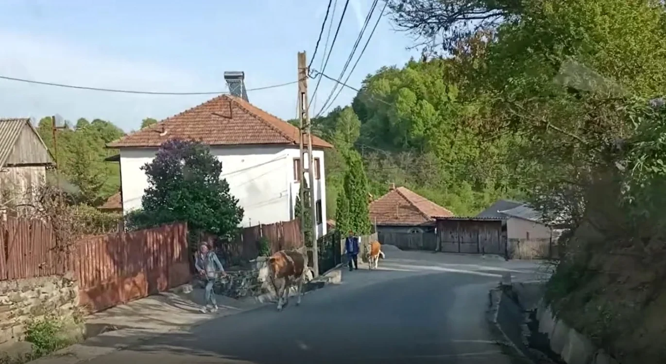 TransPerişani - drumul de munte care ocoleşte Valea Oltului - DN7/E81 - în imagine porţiunea din Berislăveşti - Vâlcea Foto Daciana Stoica. ADEVĂRUL