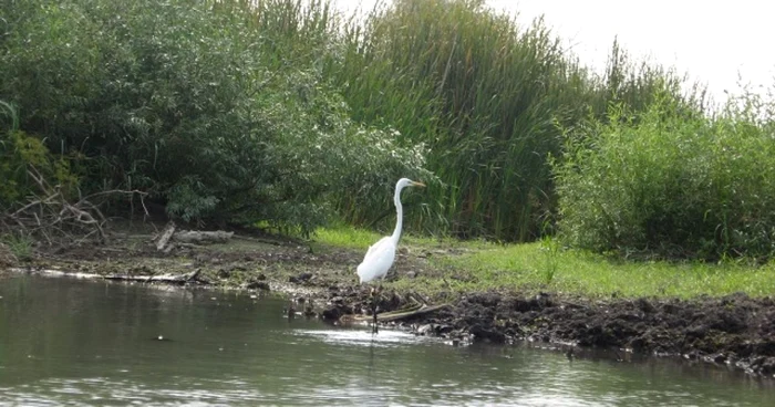 Delta Dunării trasee