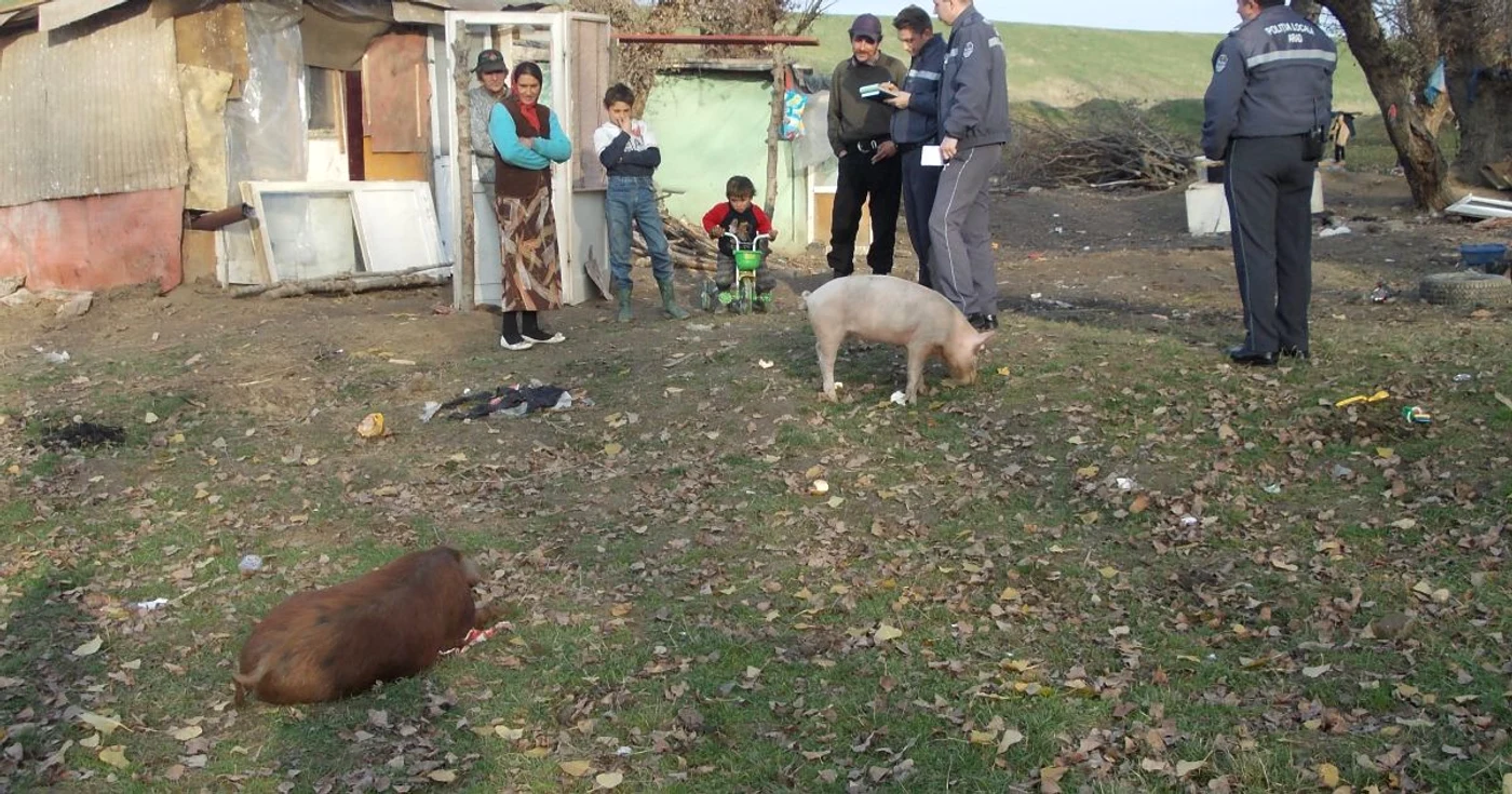 Familia respectivă creştea şi animale