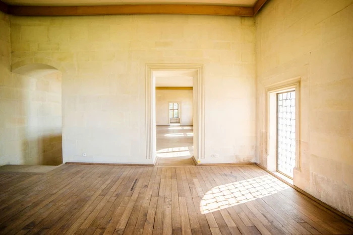 palatul de piatra   interior 1 jpg jpeg