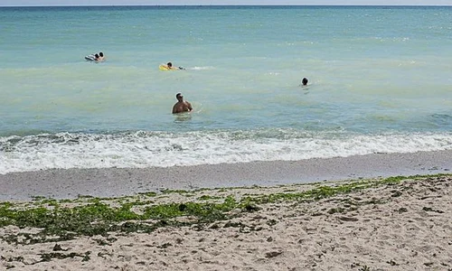 (In)suportabila reîntoarcere pe plaja copilăriei jpeg
