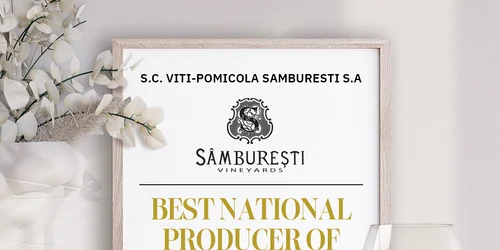 samburesti1 jpg