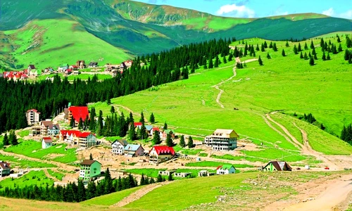 1 49331 original jpg jpeg