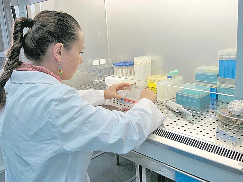 
    În laborator lucrează  patru cadre didactice,  doi postdoctoranzi, patru  doctoranzi şi zece masteranzi  