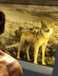 Ce moştenim de la neanderthalieni? jpeg