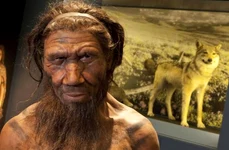 Ce moştenim de la neanderthalieni? jpeg