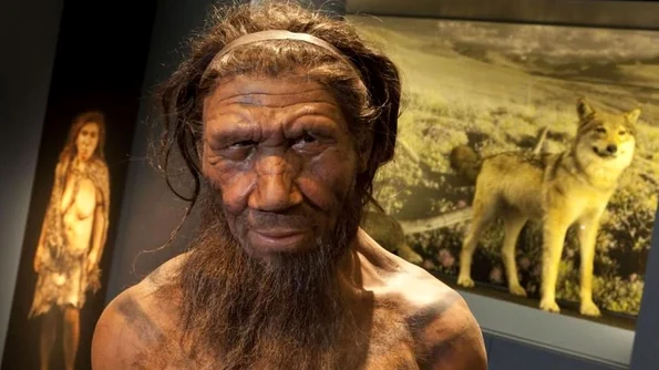 Ce moştenim de la neanderthalieni? jpeg