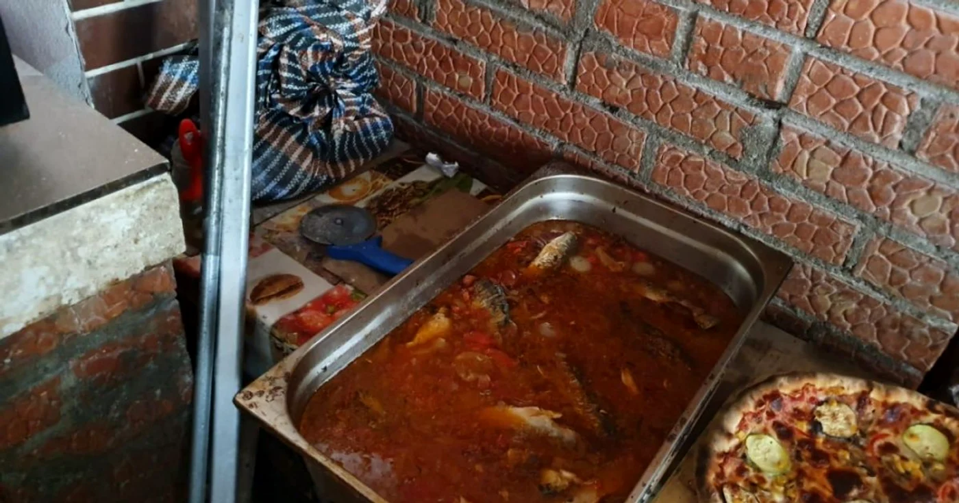 condiţii carantinare