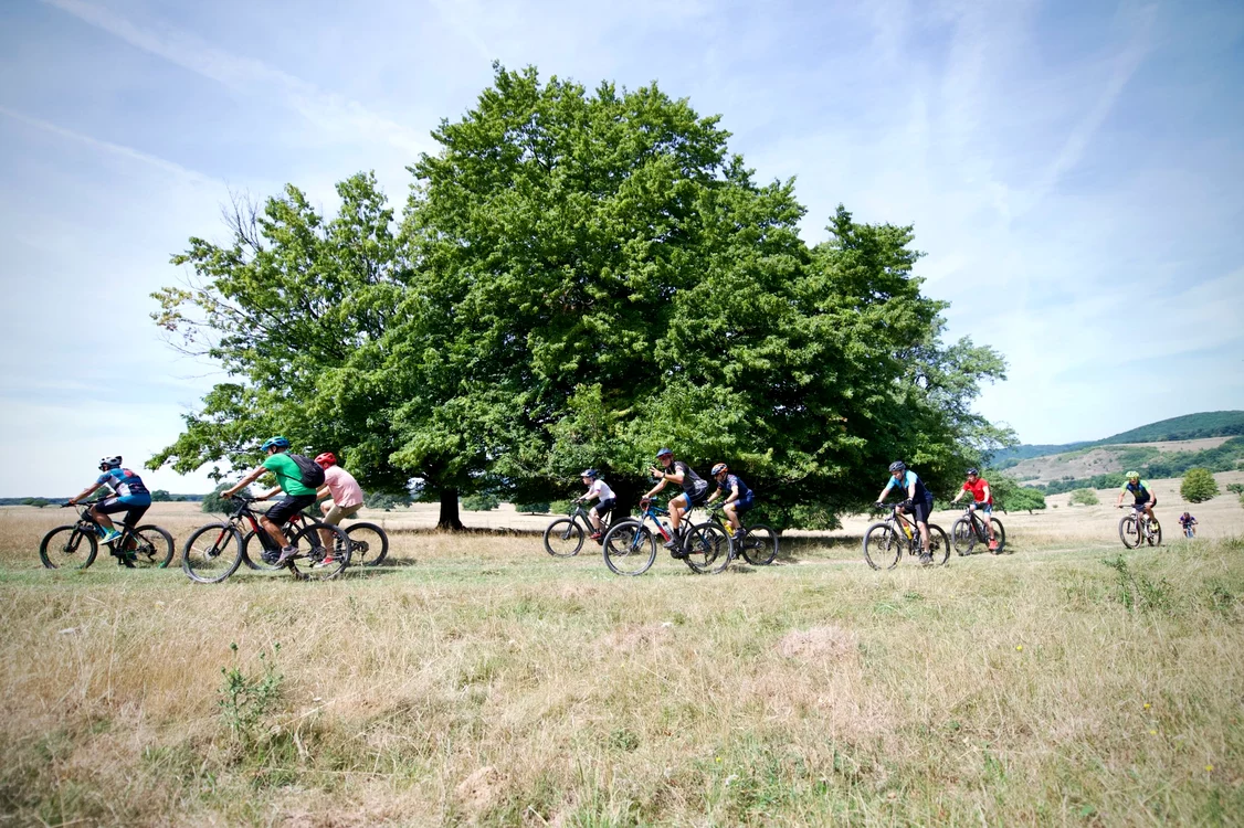 Traseele cu bicicleta, cea mai bună modalitate de a descoperi Transilvania