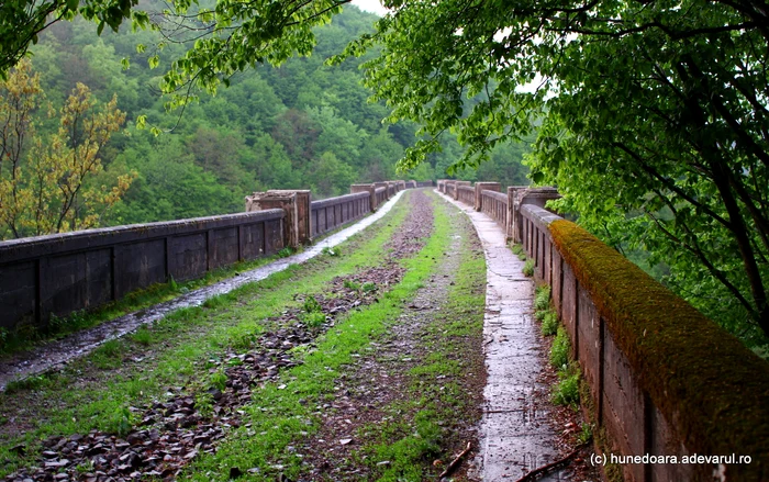 Viaductul Luncoiu, de pe fosta cale ferată. Foto: Daniel Guță