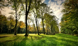 natura jpg
