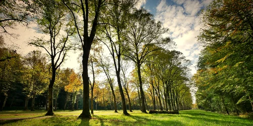 natura jpg