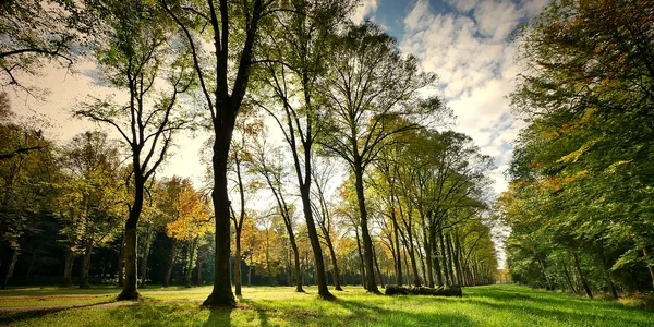 natura jpg