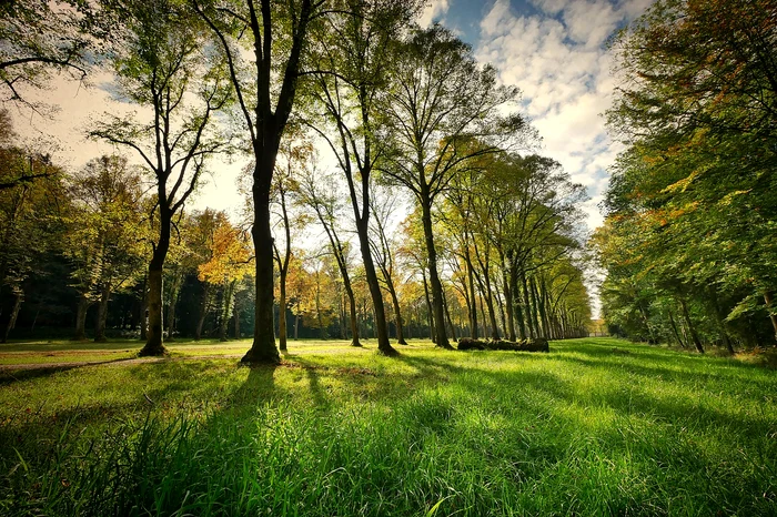 Petrecerea timpului în natură poate îmbunătăți sănătatea mintală Foto: Arhivă