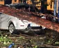 copac rupt Bucuresti 02 jpg