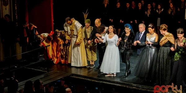 teatrul regina maria oradea flaut
