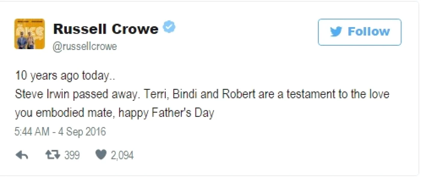 steve irwvin