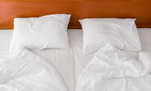 shutterstock 727321504 jpg