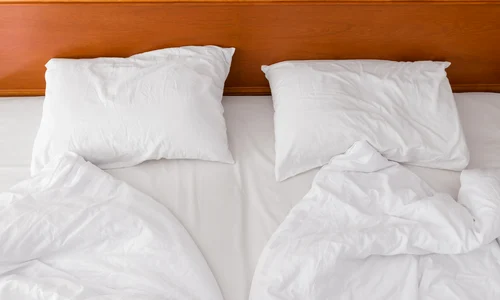 shutterstock 727321504 jpg