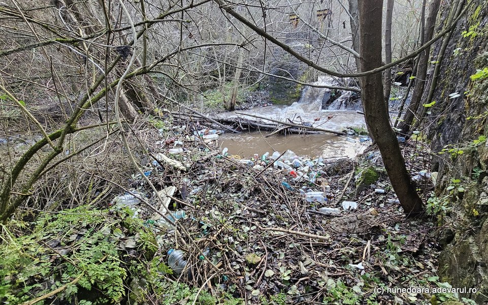 Râuri legendare din Hunedoara, distruse de oameni. Gropi de gunoi în locul atracțiilor turistice VIDEO