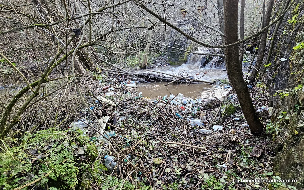 Gunoaiele în Râul Zlaști din Hunedoara. Foto: Daniel Guță. ADEVĂRUL