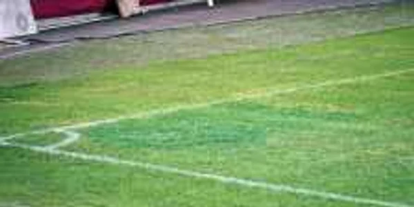 Gazonul de pe Arena Naţională a fost vopsit înaintea amicalului Dinamo-Barcelona         