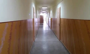 cezar dometi centru carantina lugoj 12 jpeg