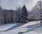 Sarmizegetusa Regia iarna Foto Sorin Zgăvârdean (6) jpg