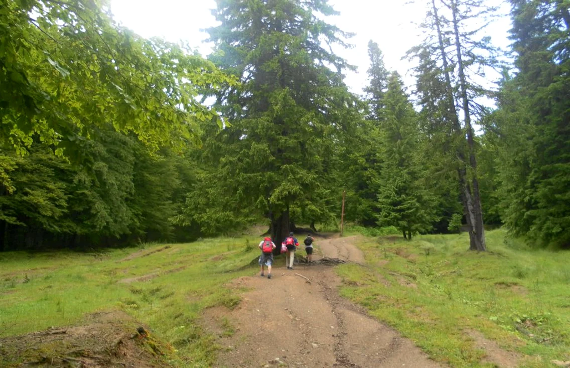 traseu bucegi malaiesti foto dana mihai