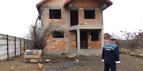 pitbullul ucigaş de la turnu severin FOTO Corina Macavei 