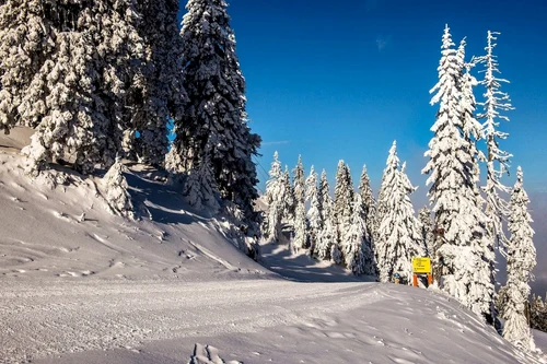 2 da dsc 1234 edit 1 jpg jpeg