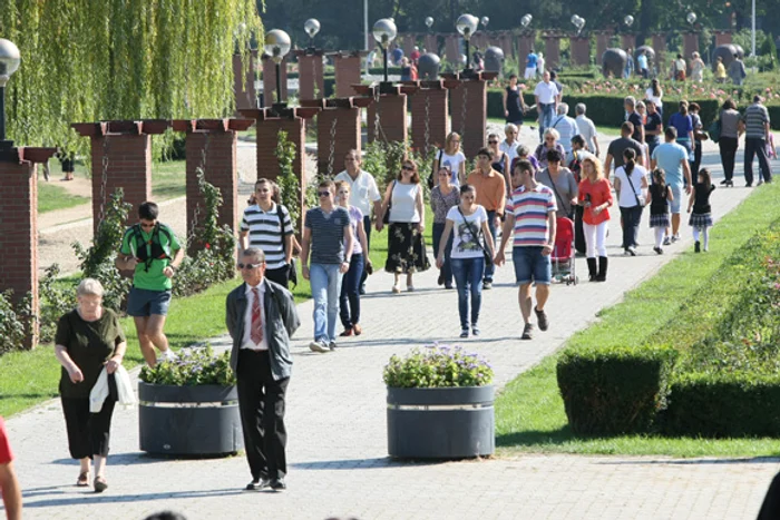 Prognoza meteo pentru următoarele două zile anunță că temperaturile sunt în creșterefoto: Click!