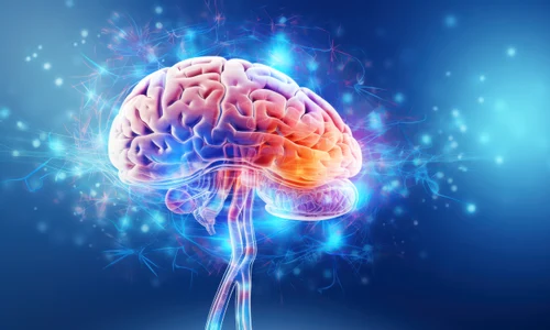 shutterstock 2555555135 jpg