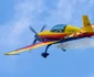Hawks of Romania (2) jpg