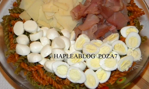 salata quatro stagioni 7 1024x791 jpeg