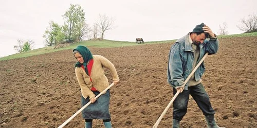 agricultura