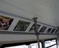 tramvai iasi proprietari animale 09 foto Tramclub Iasi jpg