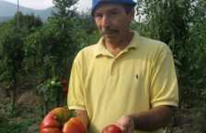 Mihai Gheorghe prezintă, spre comparaţie, o roşie proprie şi una din comerţ