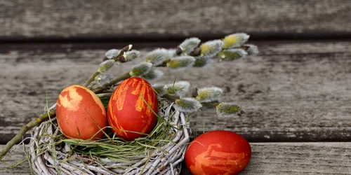 Pastele blajinilor  Foto Pixabay com jpg