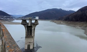 statia voila paltinu jpg