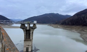 statia voila paltinu jpg