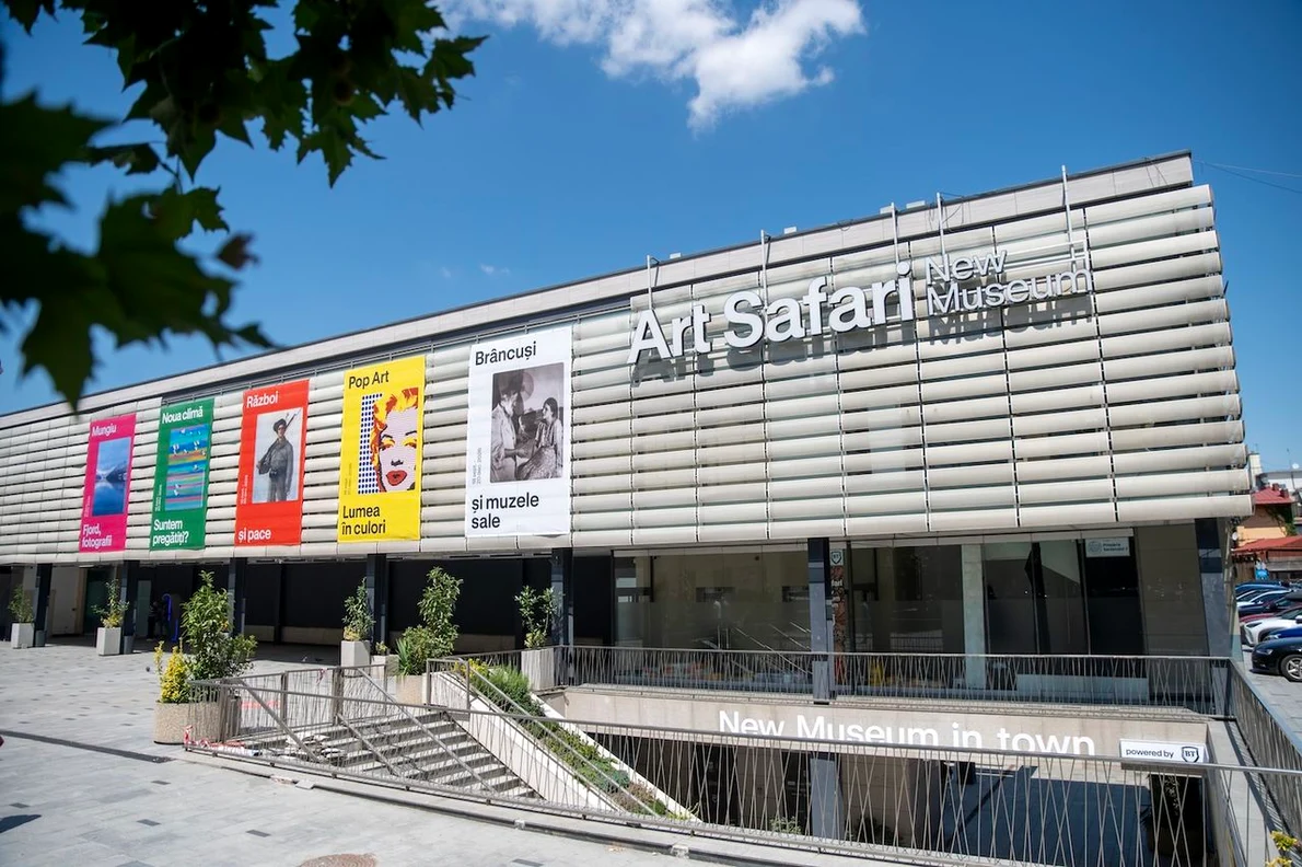Art Safari New Museum