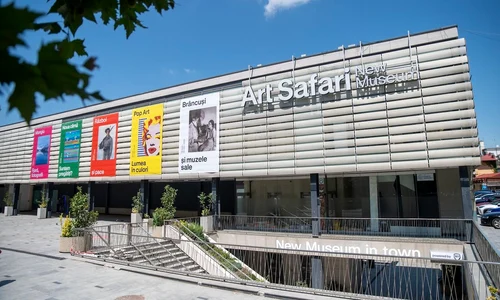 Art Safari New Museum