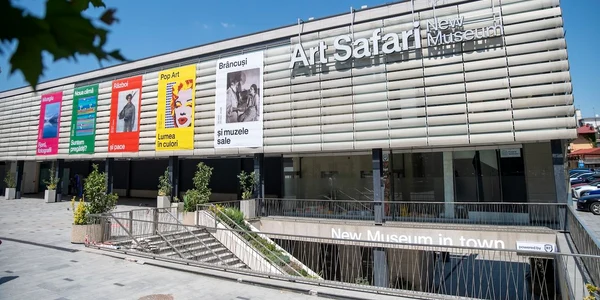 Art Safari New Museum